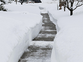 Toronto Salt Ice Melters are suitable for melting snow and ice from side walks and walk ways.